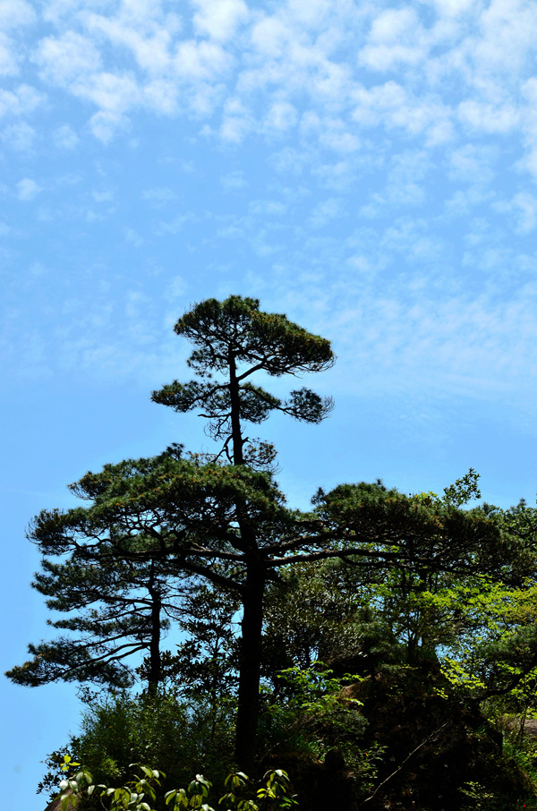 dsc_9754.jpg
