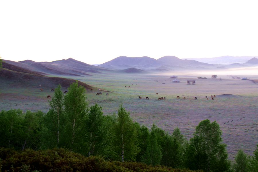 hn 270_.jpg