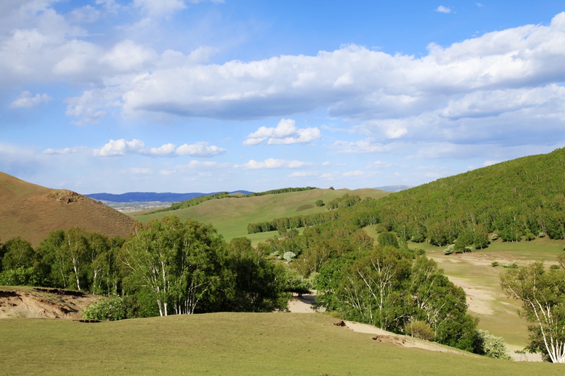 _mg_9931.jpg