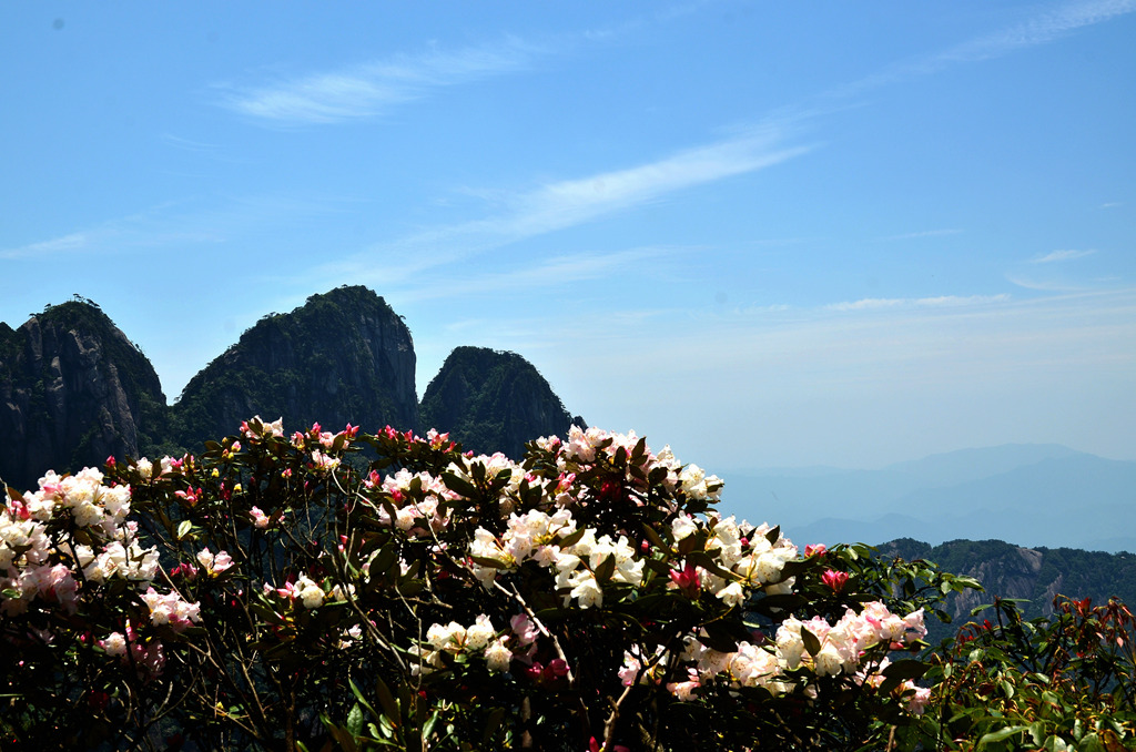 dsc_9693.jpg