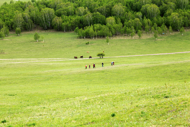 _mg_0565.jpg
