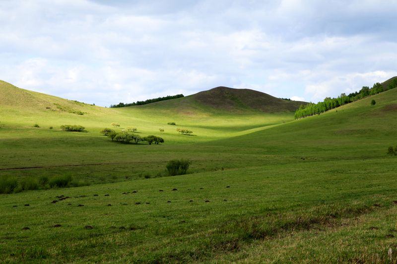 _mg_0576.jpg