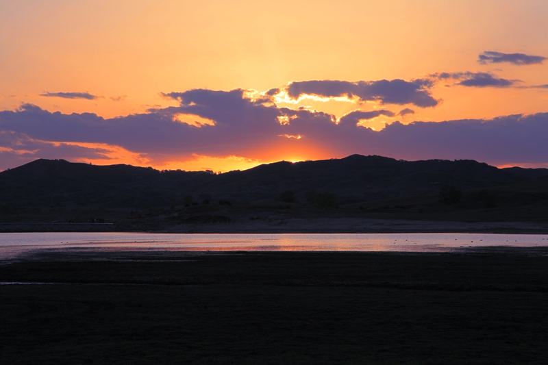 _mg_0706.jpg