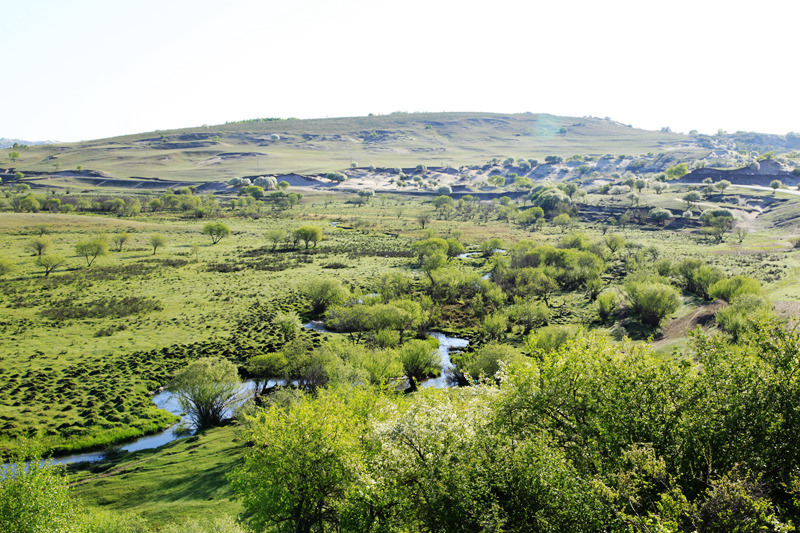 _mg_0721.jpg