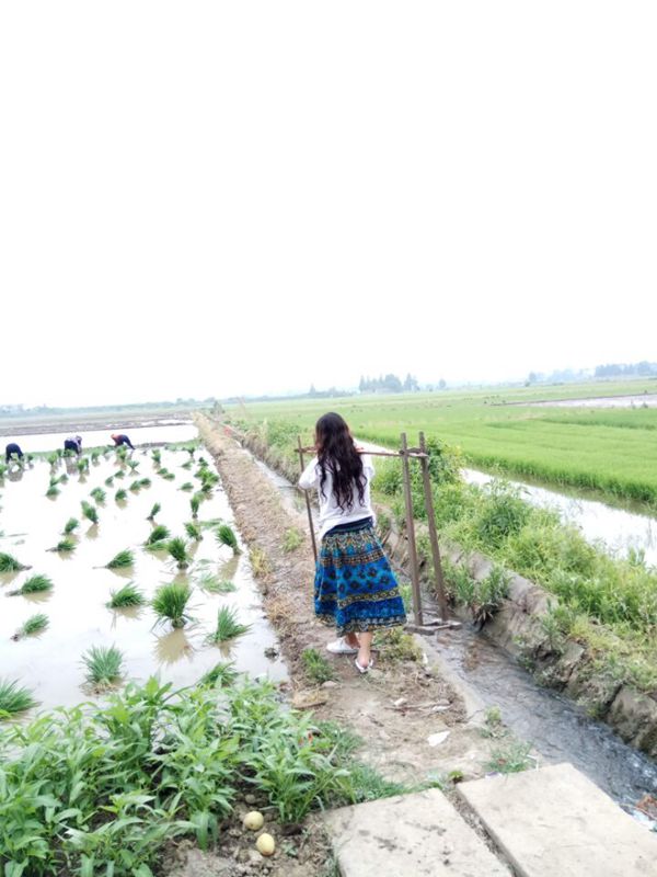 qqͼƬ20170607113033a.jpg