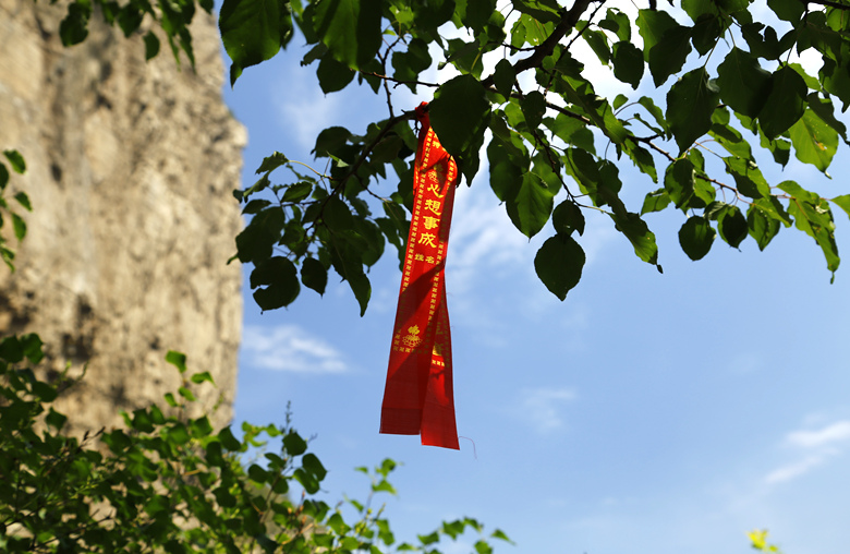 _mg_8154_.jpg