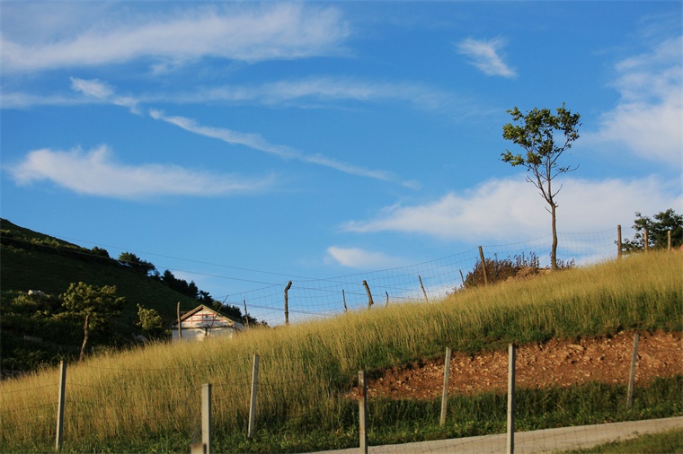 1e5b8799_副本.jpg