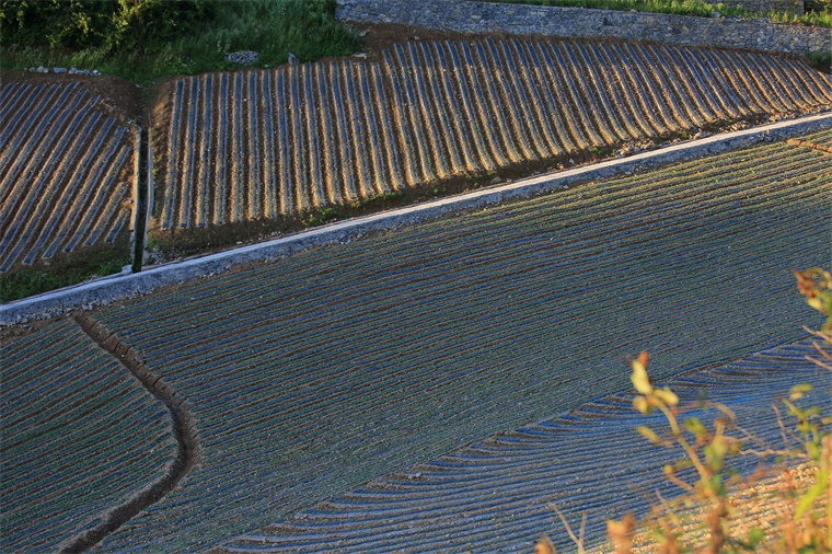 1e5b8819_副本.jpg