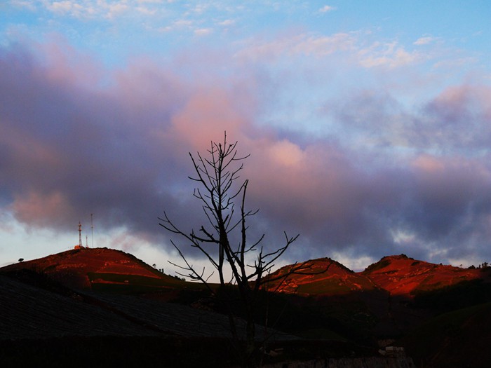 p1380851__.jpg