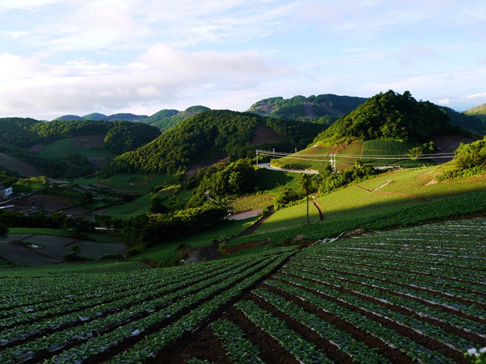 p1380876__.jpg