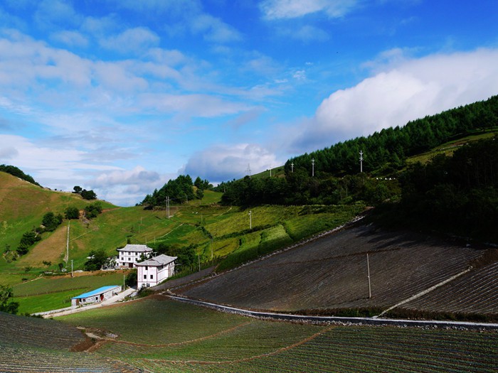 p1380977__.jpg