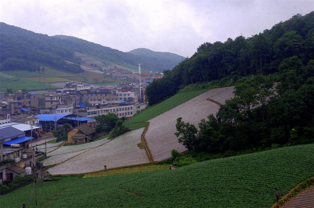 _igp7265.jpg