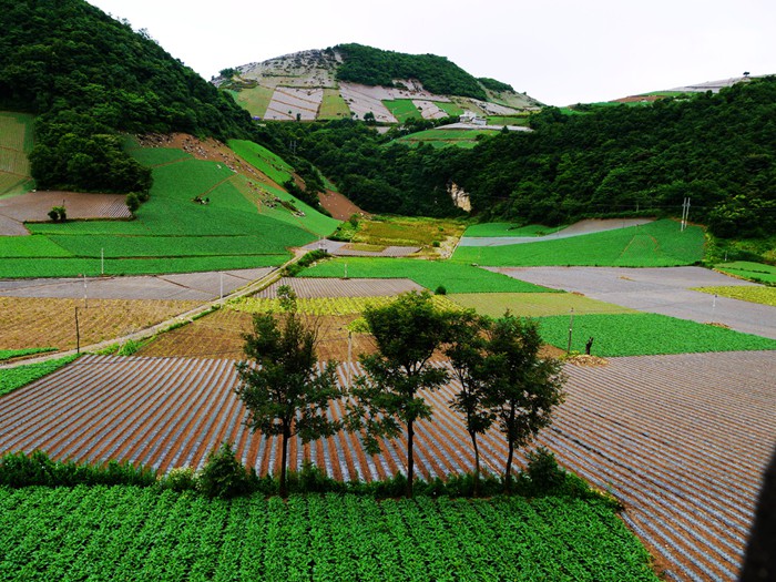 p1390207_副本_副本.jpg