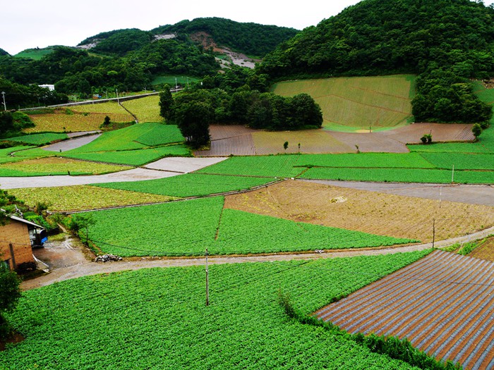 p1390209_副本_副本.jpg