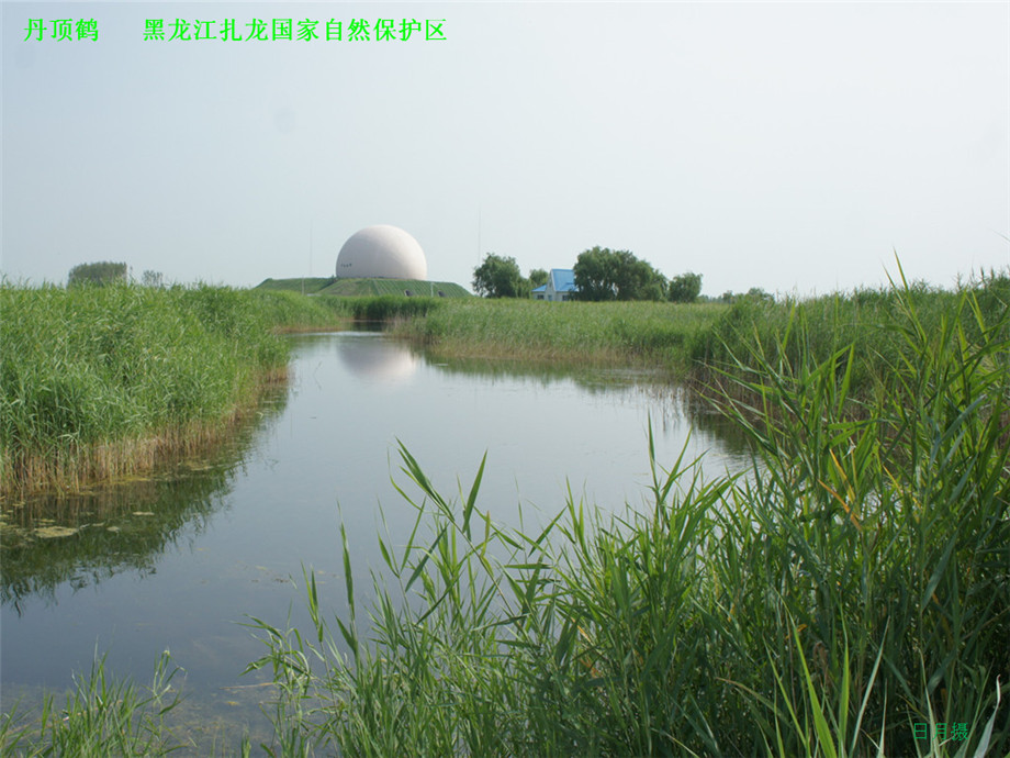 dsc01592_.jpg