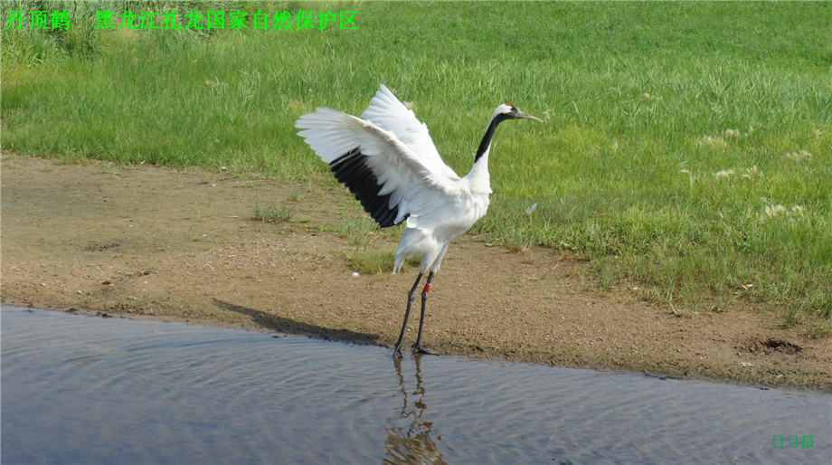 dsc01606_.jpg