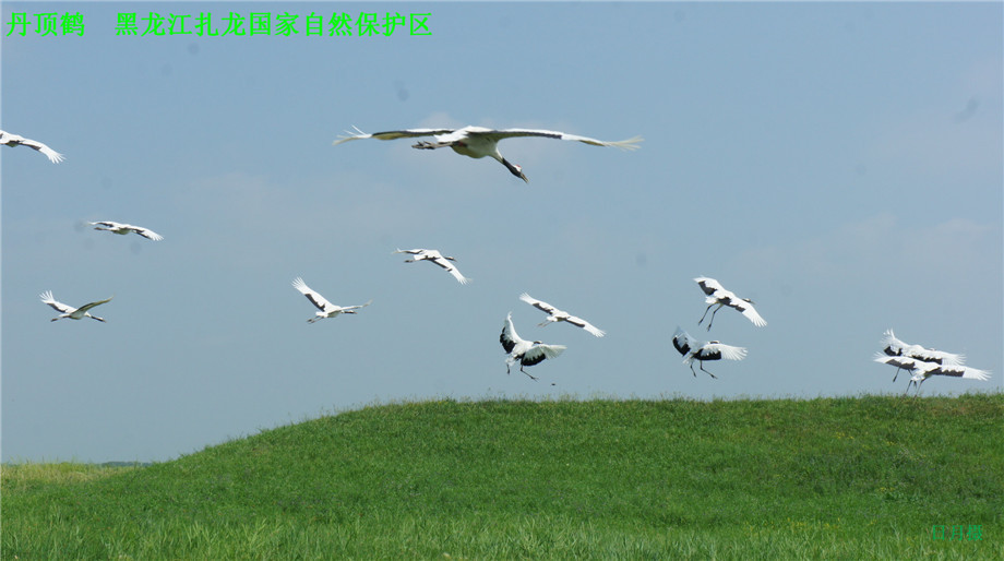 dsc01615_.jpg