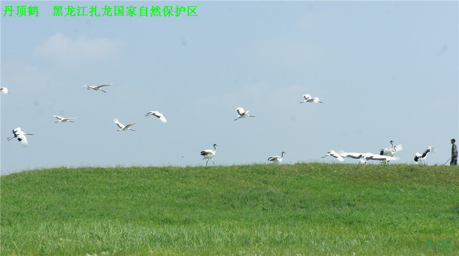dsc01616_.jpg