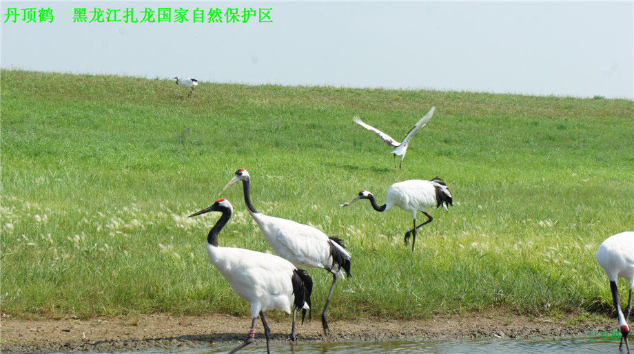 dsc01623_.jpg