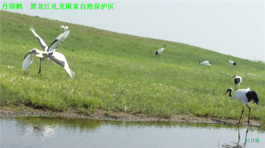 dsc01624_.jpg