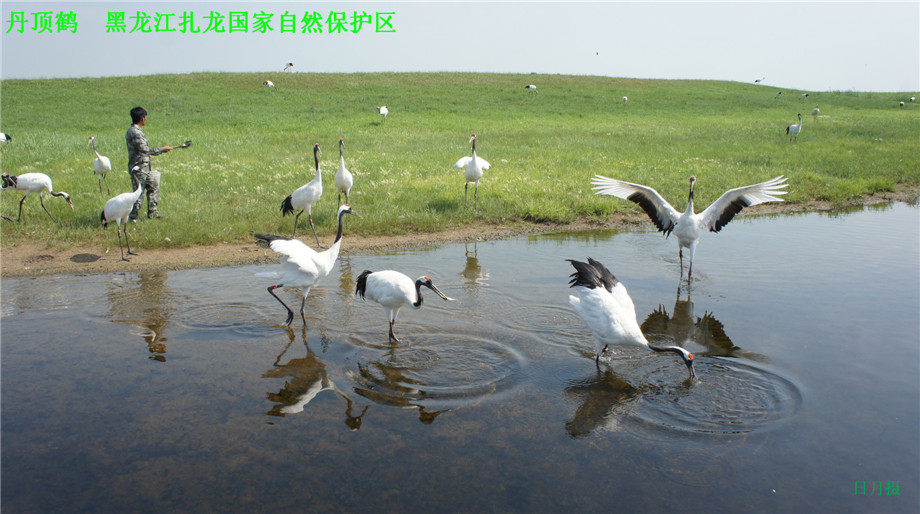 dsc01634_.jpg