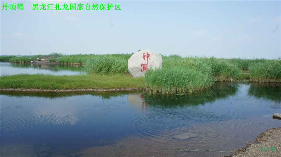 dsc01668_.jpg