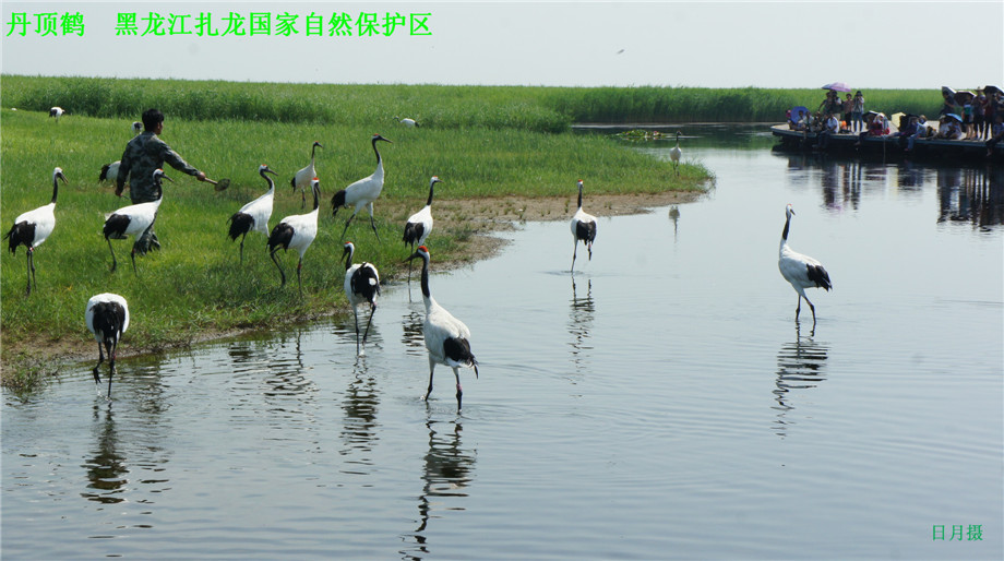 dsc01638_.jpg
