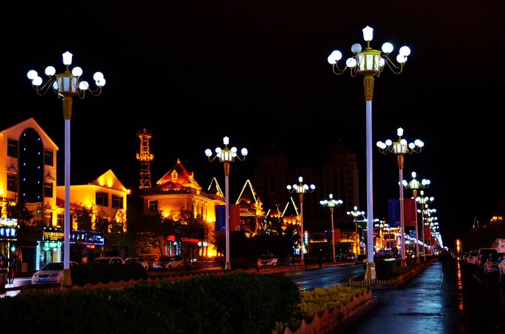 dsc_6010.jpg
