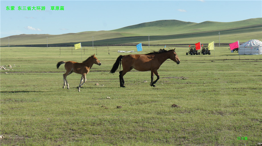 dsc01166_.jpg
