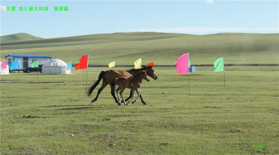 dsc01167_.jpg