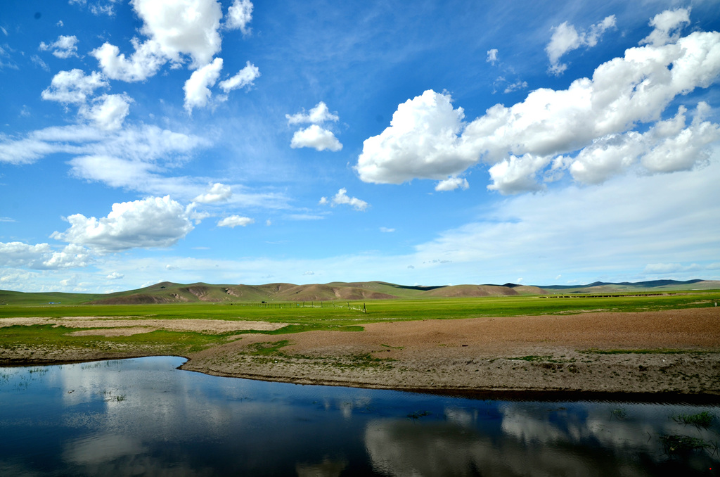 dsc_8406.jpg