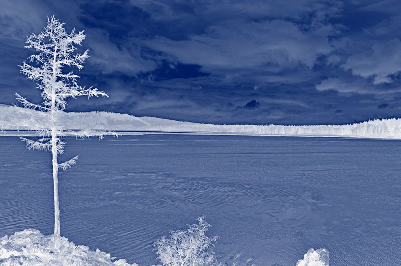 _dsc0775-_.jpg
