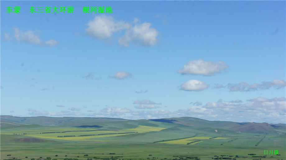 dsc01311_.jpg