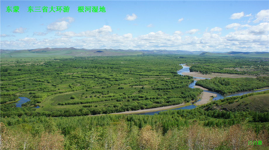 dsc01310_.jpg