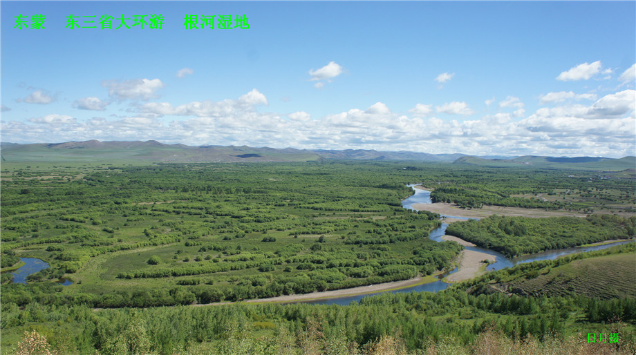 dsc01313_.jpg
