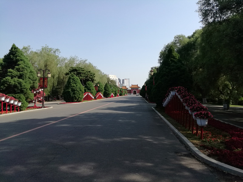 img_20170706_153845_.jpg