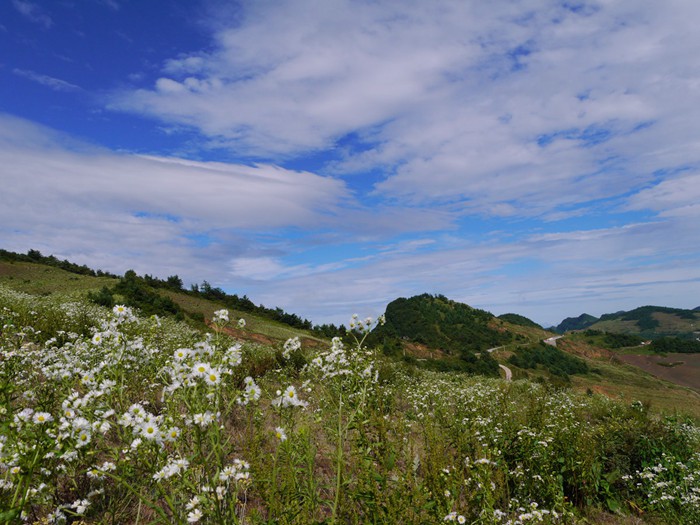 p1390372__.jpg