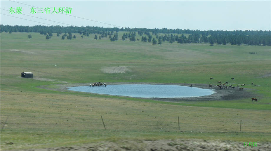 dsc00609_.jpg