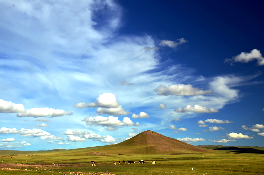dsc_8092.jpg