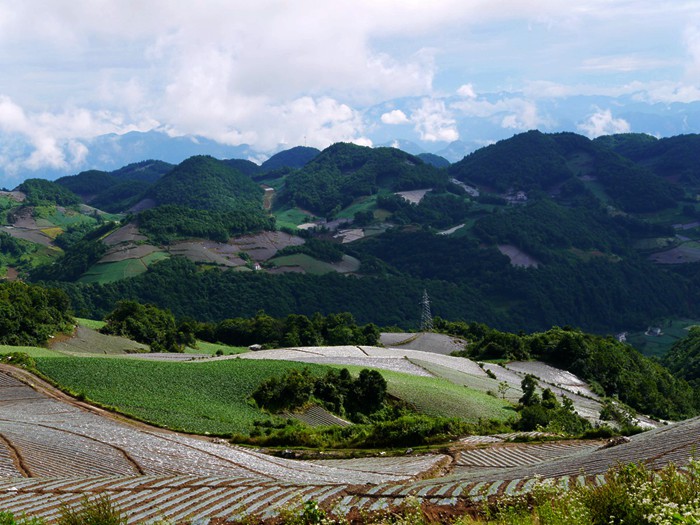 p1390387__.jpg