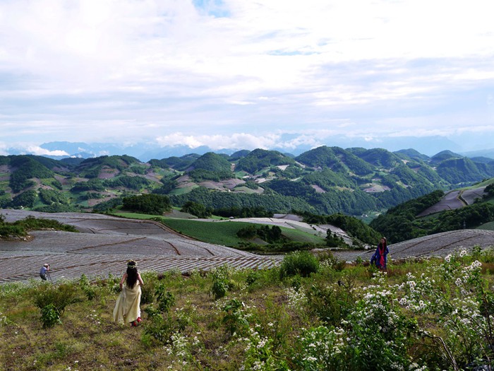 p1390392__.jpg