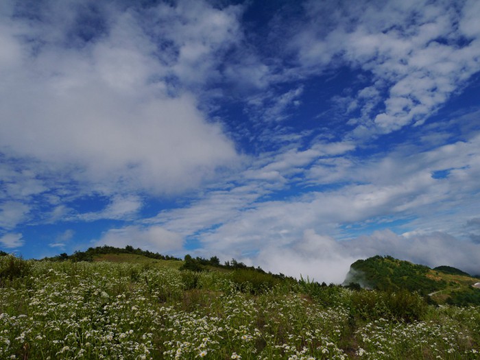 p1390404__.jpg