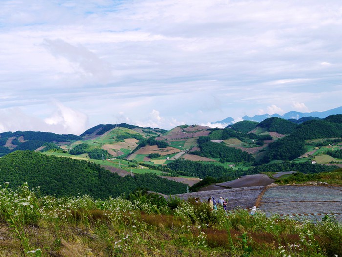 p1390409__.jpg