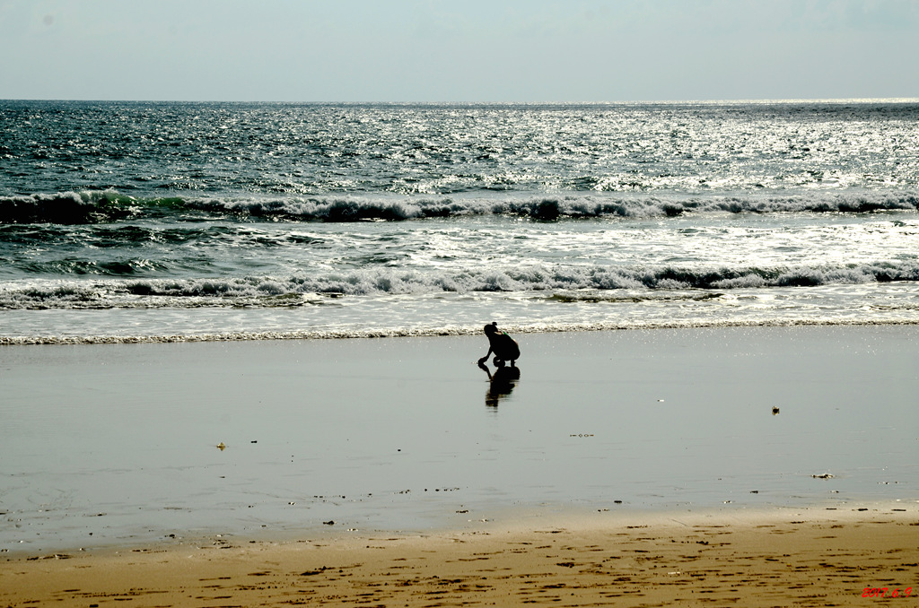 dsc_2998.jpg