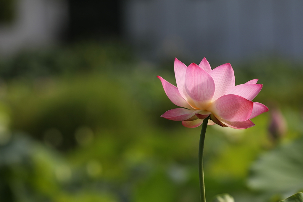 787a9013_副本.jpg