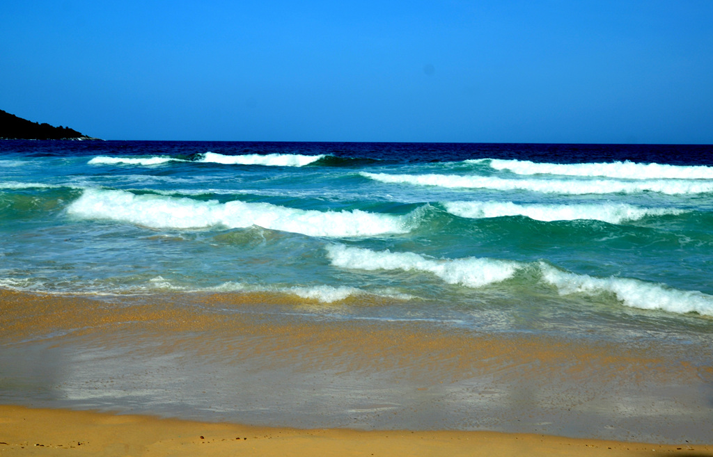 dsc_4578.jpg