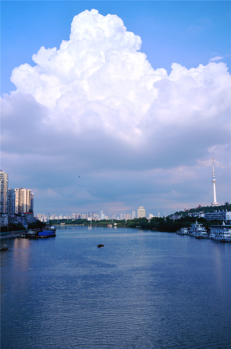 dsc_6345.jpg