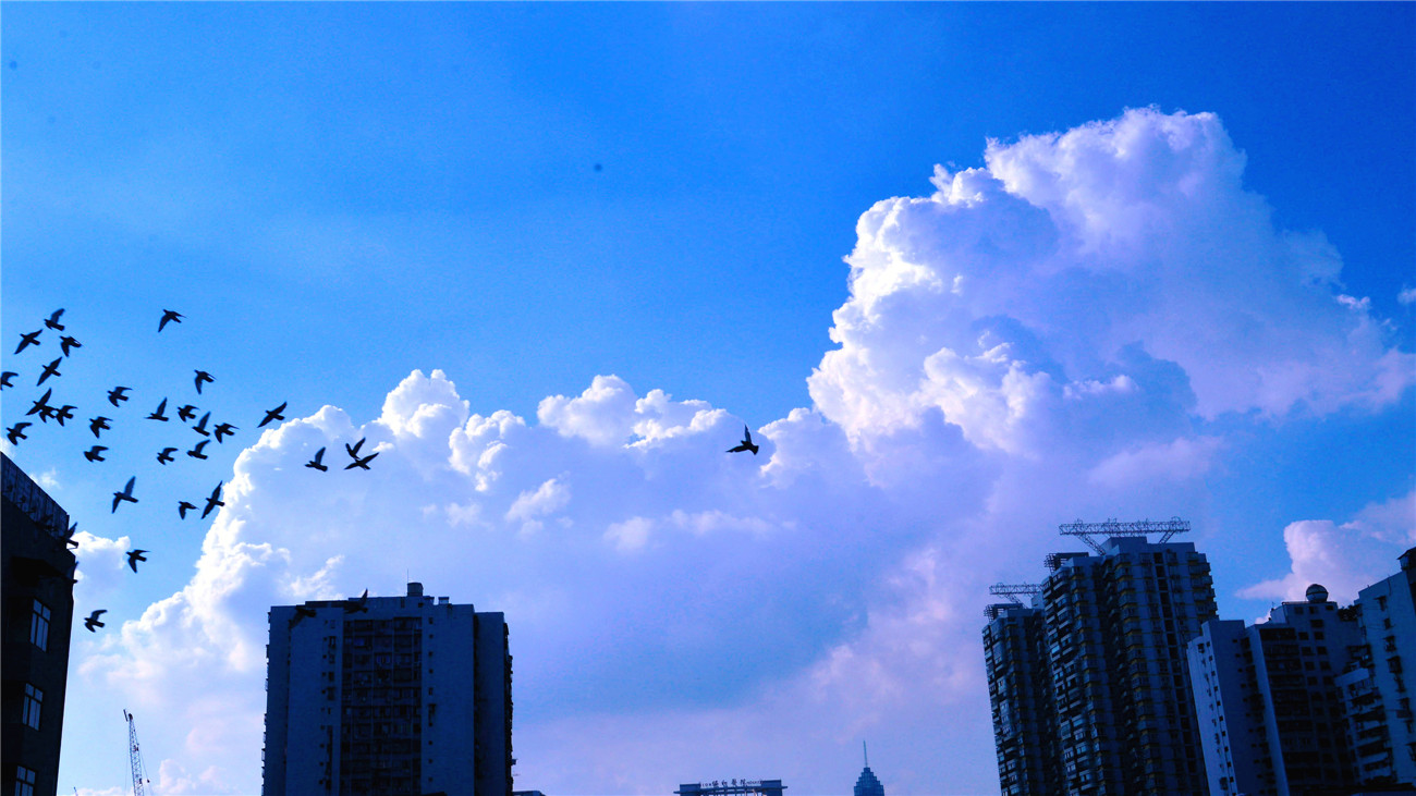 dsc_6331_.jpg