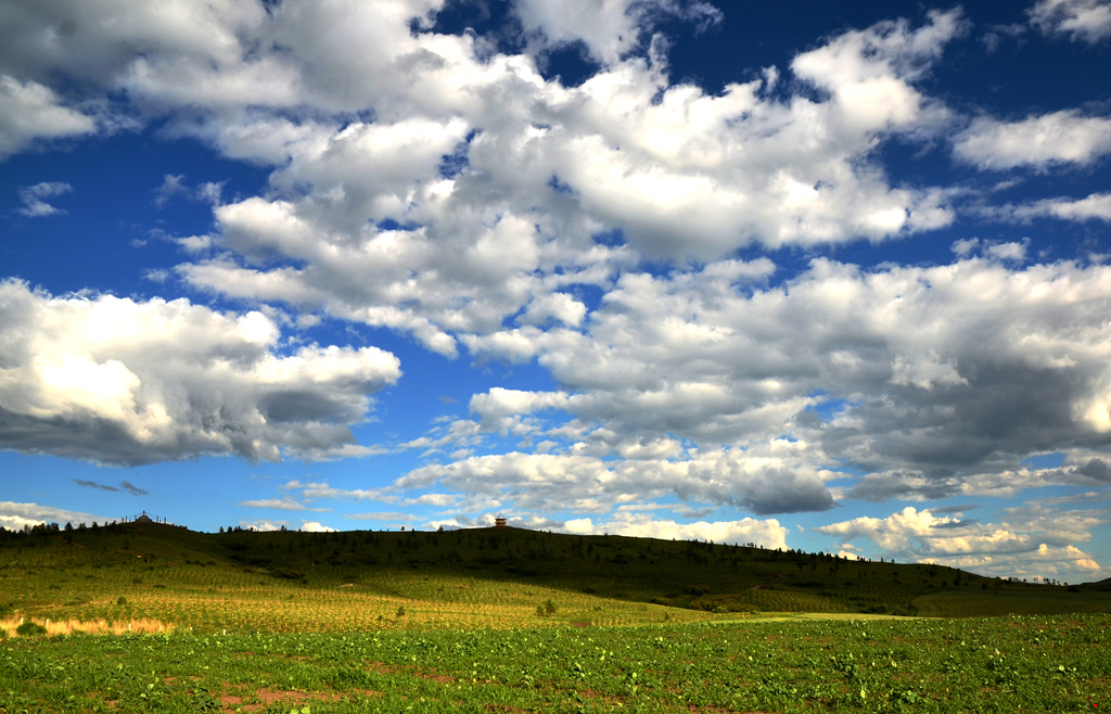 dsc_6975.jpg
