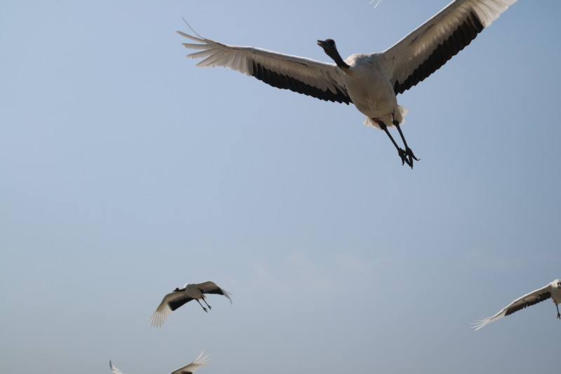 img_0583_.jpg